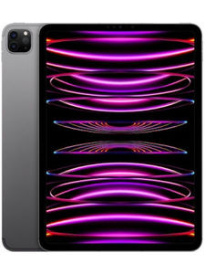 Apple iPad Pro 11 2022 WiFi 256GB