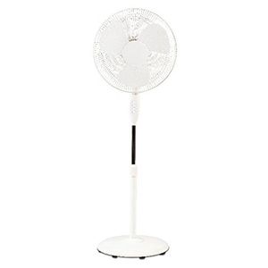 Koryo Fans Price In India 2020 | Koryo Fans Price List 2020 8th May