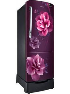 Samsung RR24T285YCR 230 L 3 Star Inverter Direct Cool Single Door Refrigerator
