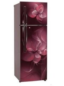 LG GL-T292RSDN 260 L 4 Star Frost Free Double Door Refrigerator