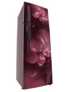 LG GL-T292RSDN 260 L 4 Star Frost Free Double Door Refrigerator