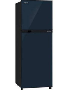 Toshiba GR-B31INU 272 L 2 Star Inverter Frost Free Double Door Refrigerator