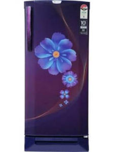 Godrej RD EDGEPRO 225D 43 TDI 210 L 4 Star Inverter Direct Cool Single Door Refrigerator