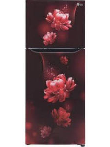LG GL-T292SSC3 260 L 3 Star Inverter Frost Free Double Door Refrigerator