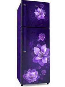 Whirlpool Neo 278LH PRM 265 L 2 Star Frost Free Double Door Refrigerator
