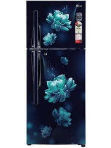 LG GL-S292RBCY 260 L 2 Star Inverter Frost Free Double Door Refrigerator