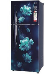 LG GL-S292RBCY 260 L 2 Star Inverter Frost Free Double Door Refrigerator