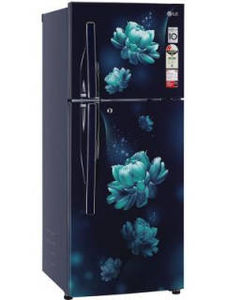 LG GL-S292RBCY 260 L 2 Star Inverter Frost Free Double Door Refrigerator