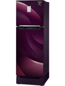 Samsung RT28A3C234R 244 L 3 Star Inverter Frost Free Double Door Refrigerator