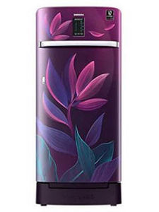 Samsung RR21A2F2X9R 198 L 4 Star Inverter Direct Cool Single Door Refrigerator