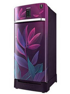 Samsung RR21A2F2X9R 198 L 4 Star Inverter Direct Cool Single Door Refrigerator