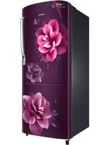 Samsung RR24A272YCR 230 L 3 Star Inverter Direct Cool Single Door Refrigerator