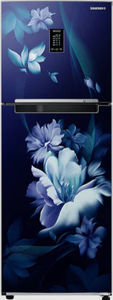 Samsung RT28B3522UZ 244 L 2 Star Inverter Frost Free Double Door Refrigerator