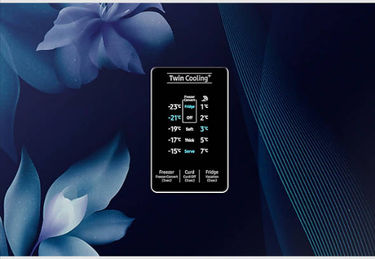 Samsung RT28B3522UZ 244 L 2 Star Inverter Frost Free Double Door Refrigerator