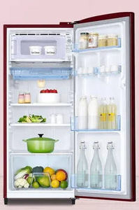 Samsung RR20C20C26R 183 L 2 Star Inverter Direct Cool Single Door Refrigerator
