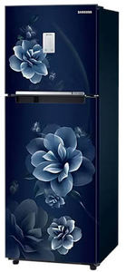 Samsung RT28C3452CU 236 L 2 Star Inverter Frost Free Double Door Refrigerator