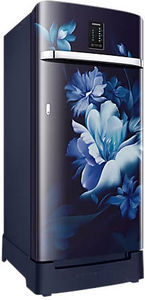 Samsung RR21C2F24UZ 189 L 4 Star Inverter Direct Cool Single Door Refrigerator