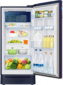 Samsung RR21C2F24UZ 189 L 4 Star Inverter Direct Cool Single Door Refrigerator
