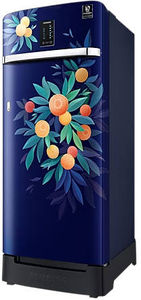 Samsung RR23C2F24NK 215 L 4 Star Inverter Direct Cool Single Door Refrigerator