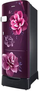Samsung RR24C2Z23CR 223 L 3 Star Inverter Direct Cool Single Door Refrigerator