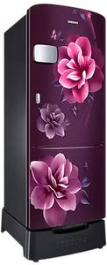 Samsung RR24C2Z23CR 223 L 3 Star Inverter Direct Cool Single Door Refrigerator