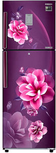 Samsung RT28C3922CR 236 L 2 Star Inverter Frost Free Double Door Refrigerator