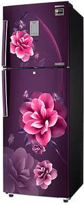 Samsung RT28C3922CR 236 L 2 Star Inverter Frost Free Double Door Refrigerator