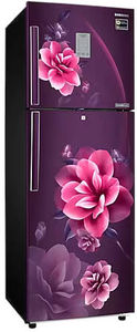 Samsung RT28C3922CR 236 L 2 Star Inverter Frost Free Double Door Refrigerator