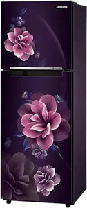 Samsung RT28C3022CR 236 L 2 Star Inverter Frost Free Double Door Refrigerator