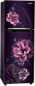 Samsung RT28C3022CR 236 L 2 Star Inverter Frost Free Double Door Refrigerator