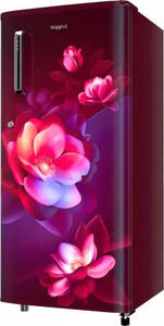 Whirlpool 205 WDE PRM 2S WINE BLOOM-Z 184 L 2 Star Direct Cool Single Door Refrigerator