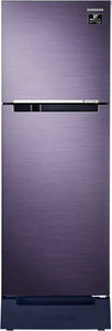 Samsung RT28C3122UT 236 L 2 Star Inverter Direct Cool Double Door Refrigerator