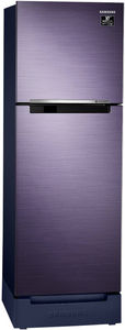 Samsung RT28C3122UT 236 L 2 Star Inverter Direct Cool Double Door Refrigerator