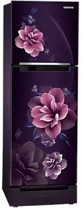 Samsung RT28C3122CR 236 L 2 Star Inverter Direct Cool Double Door Refrigerator