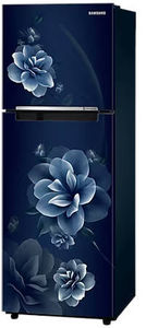 Samsung RT28C3022CU 236 L 2 Star Inverter Direct Cool Double Door Refrigerator