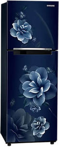 Samsung RT28C3022CU 236 L 2 Star Inverter Direct Cool Double Door Refrigerator