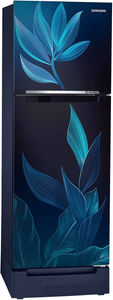 Samsung RT28C31429U 236 L 2 Star Inverter Direct Cool Double Door Refrigerator