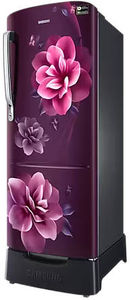 Samsung RR24C2823CR 223 L 3 Star Inverter Direct Cool Single Door Refrigerator