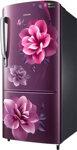 Samsung RR20C1724CR 183 L 4 Star Inverter Direct Cool Single Door Refrigerator