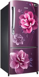 Samsung RR20C1724CR 183 L 4 Star Inverter Direct Cool Single Door Refrigerator