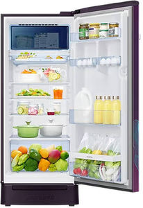 Samsung RR23C2F359R 215 L 5 Star Inverter Direct Cool Single Door Refrigerator