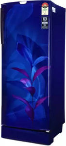 Godrej RD EDGEPRO 255E TAI MN 234 L 5 Star Inverter Direct Cool Single Door Refrigerator