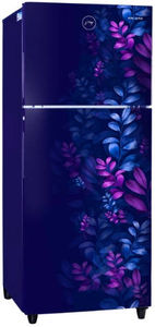 Godrej RT EONALPHA 270B RI AR BL 233 L 2 Star Inverter Frost Free Double Door Refrigerator