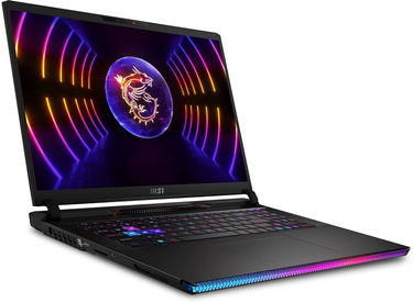 MSI Raider GE78 HX 13VI-087IN Laptop