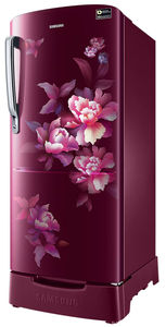 Samsung RR20D2825HN 183 L 5 Star Inverter Direct Cool Single Door Refrigerator