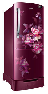 Samsung RR20D2825HN 183 L 5 Star Inverter Direct Cool Single Door Refrigerator