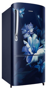 Samsung RR20D2725UZ 183 L 5 Star Inverter Direct Cool Single Door Refrigerator
