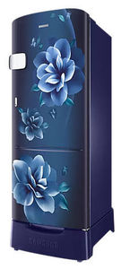 Samsung RR24D2Z23CU 223 L 3 Star Inverter Direct Cool Single Door Refrigerator