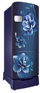 Samsung RR24D2Z23CU 223 L 3 Star Inverter Direct Cool Single Door Refrigerator