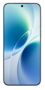 vivo X300s
